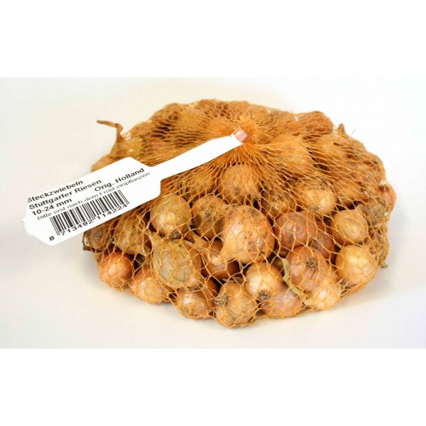 Semilla de cebolla de mesa STUTGARTER RIESEN amarilla para plantar 350 g ¡¡¡ ULTIMAS UNIDADES !!!