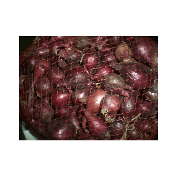 Semilla de cebolla roja RED BARON 250G ¡¡¡ ULTIMAS UNIDADES !!!