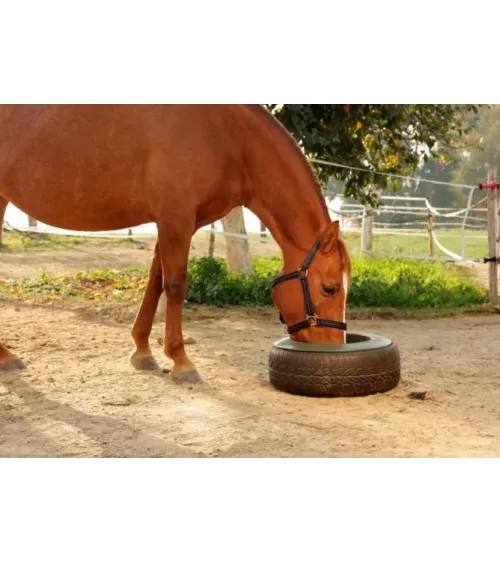 Comedero caballos para rueda