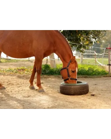 Comedero caballos para rueda