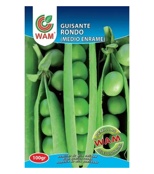 Semilla guisante Rondo medio enrame 100 g