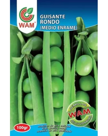 Semilla guisante Rondo medio enrame 100 g