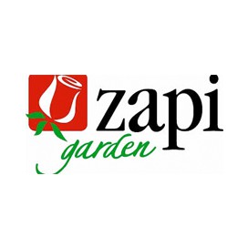 Zapi